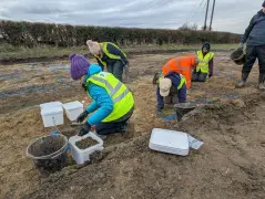 Amateur metal detectorist’s ‘feeling’ helps archaeologists uncover 2,000-year-old Roman settlement